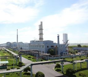 Qingdao Tida International Trade Co., Ltd.